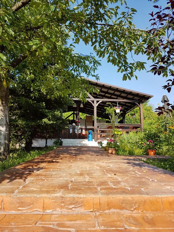 Camping Robinson Country Club أرادايا المظهر الخارجي الصورة